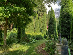 2025-09-09 028 (800x600)